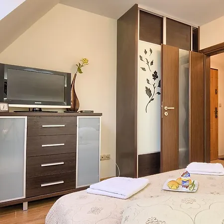 VisitZakopane - Apartament Sasanka-3